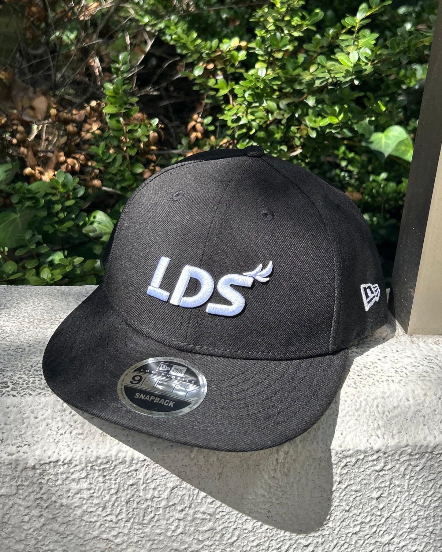 NEW ERA_LDS-CP01