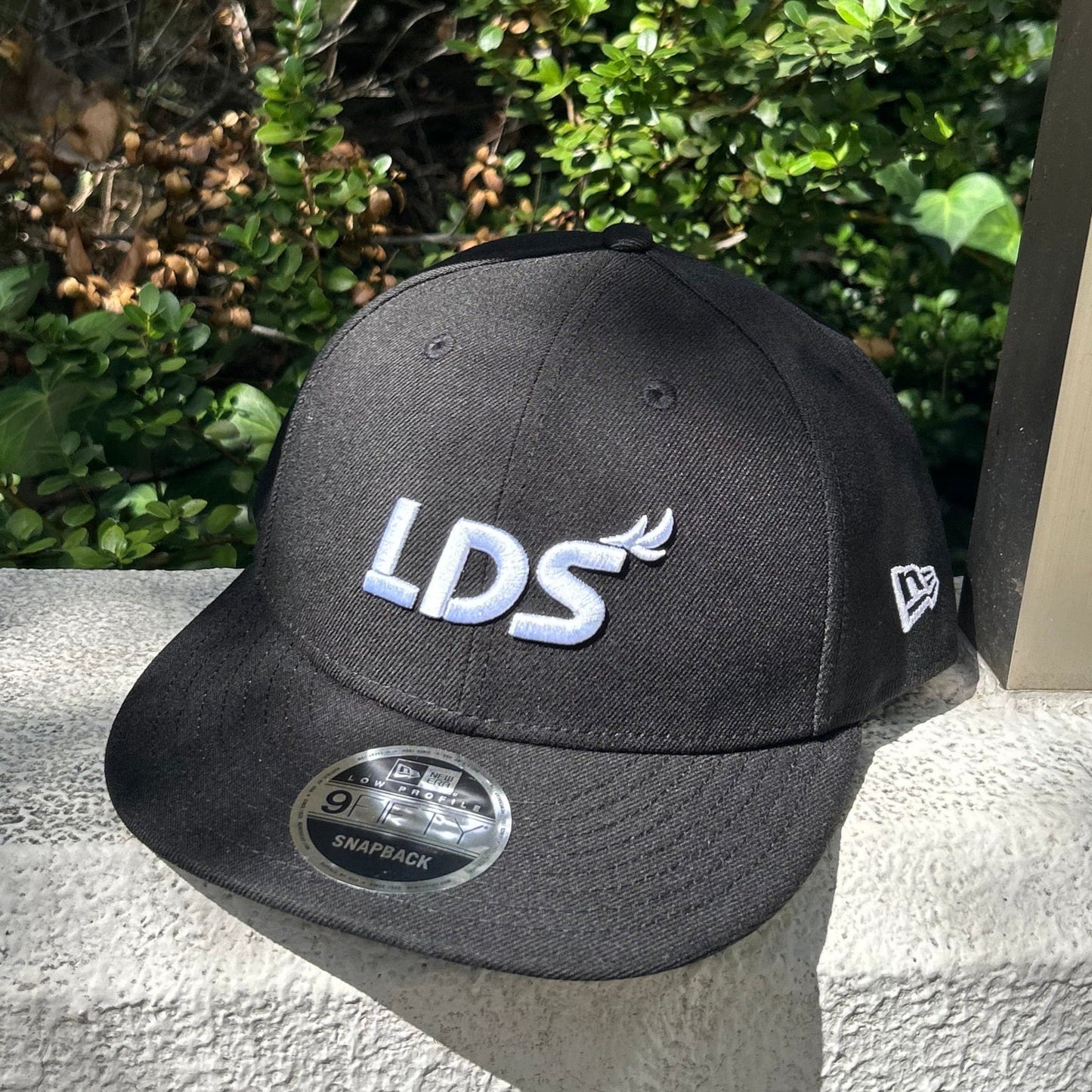 NEW ERA_LDS-CP01