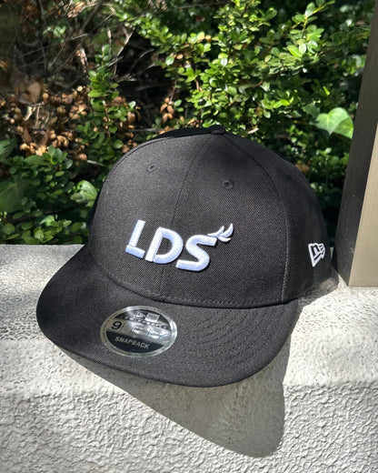 NEW ERA_LDS-CP01