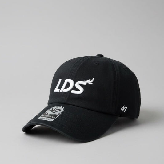 ’47 CAP×LDS47-LCP01